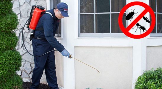 Payas Haşere İlaçlama böcek ilaçlama ve haşere kontrolü — ilaclama-tr.com
